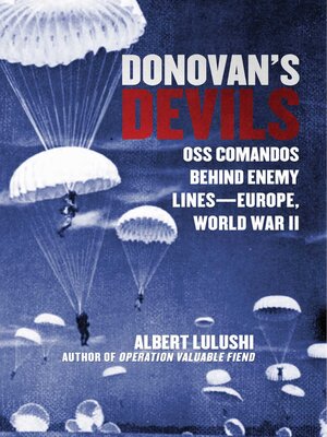 cover image of Donovan's Devils
